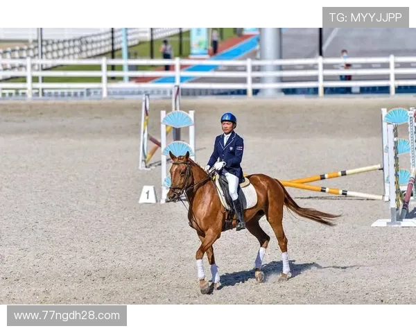 中国马术选手在奥运赛场上的精彩表现与挑战